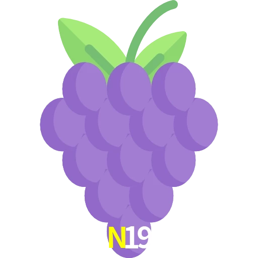 N19